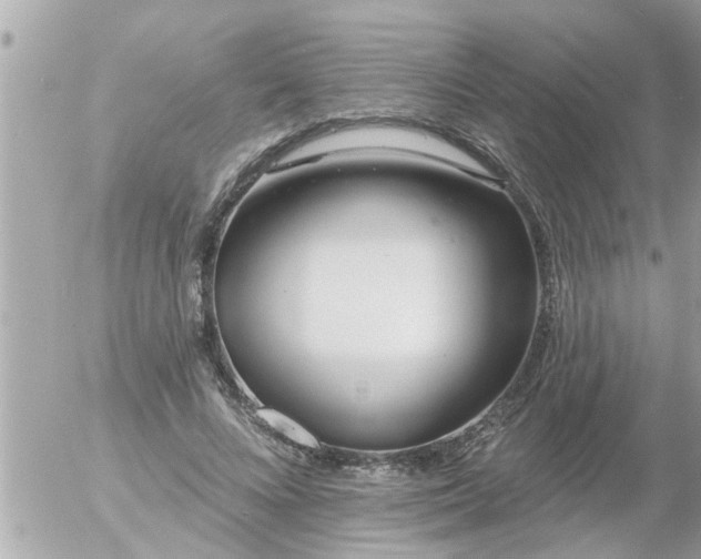 X0000055520688200508262206