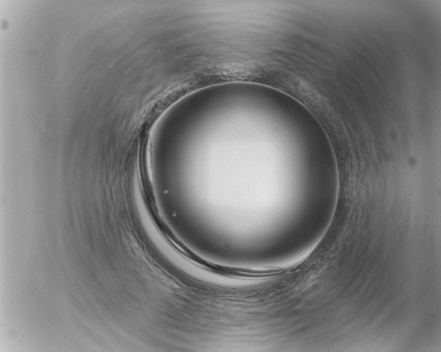 X0000055520689200508262206