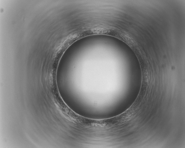 X0000055520690200508262206