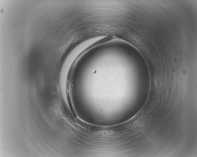 X0000055520691200508262206