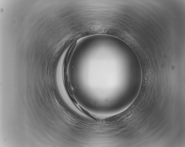 X0000055520693200508262206