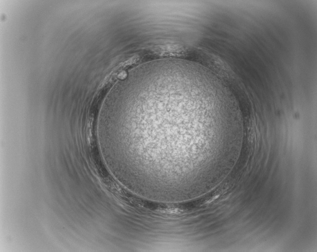 X0000055520695200508262206