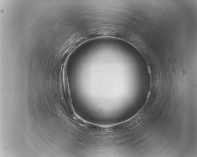 X0000055520696200508262206