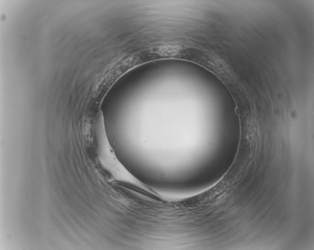 X0000055520697200508262206