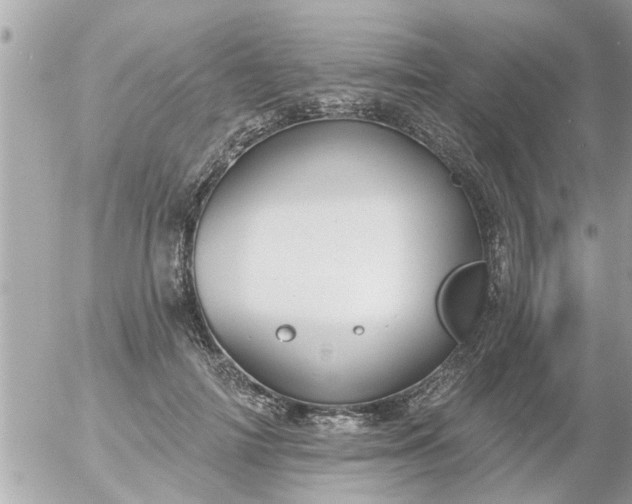 X0000055520698200508262206