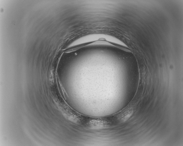 X0000055520699200508262206