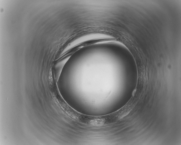 X0000055520700200508262206