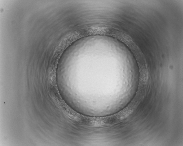 X0000055520701200508262206