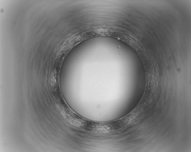 X0000055520702200508262206