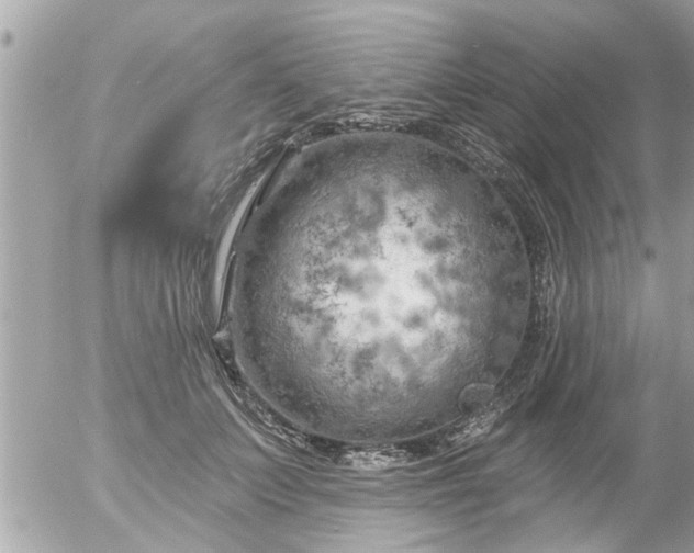 X0000055520703200508262206