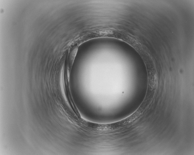 X0000055520704200508262206