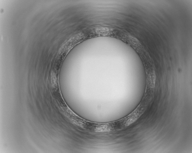 X0000055520705200508262206