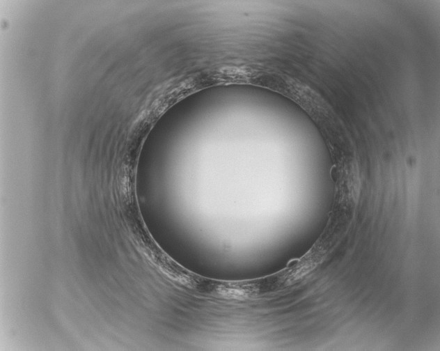 X0000055520706200508262206