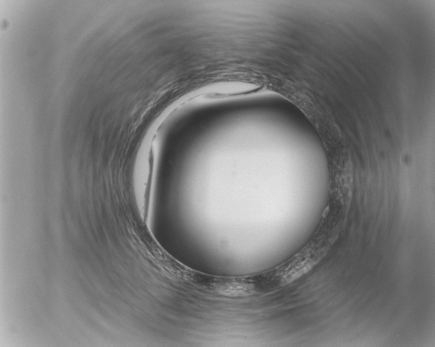 X0000055520708200508262206