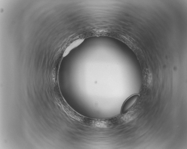 X0000055520710200508262205