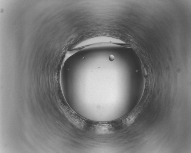 X0000055520711200508262205