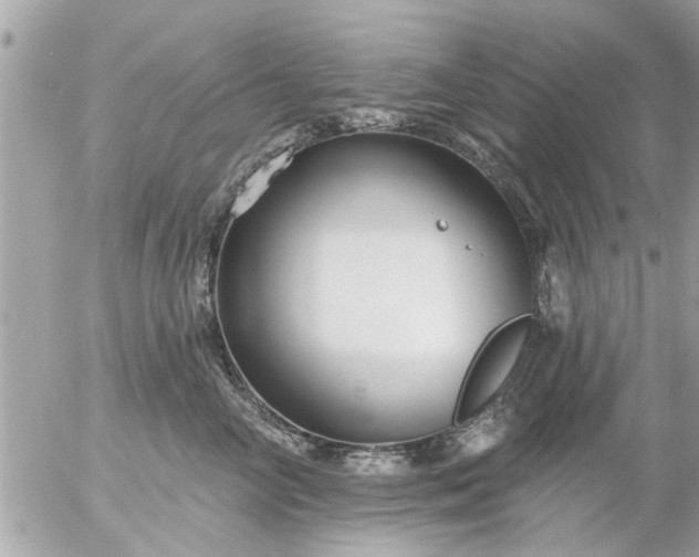 X0000055520714200508262205