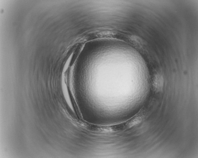 X0000055520715200508262205