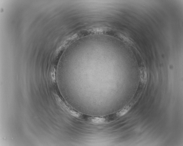 X0000055520718200508262205