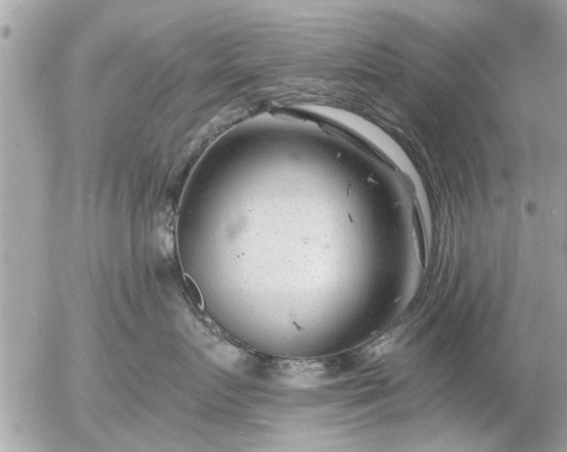 X0000055520719200508262205