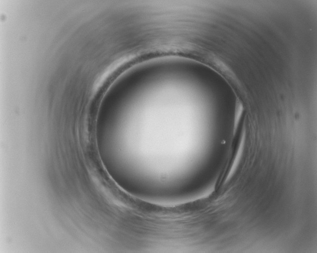 X0000055520722200508262205