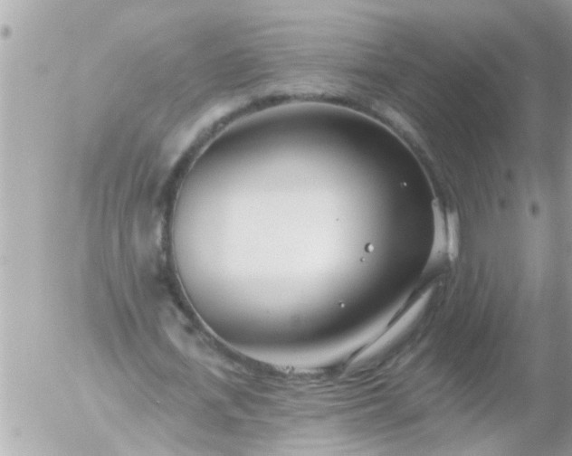 X0000055520723200508262205