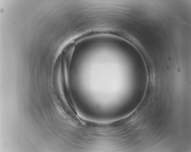 X0000055520724200508262205