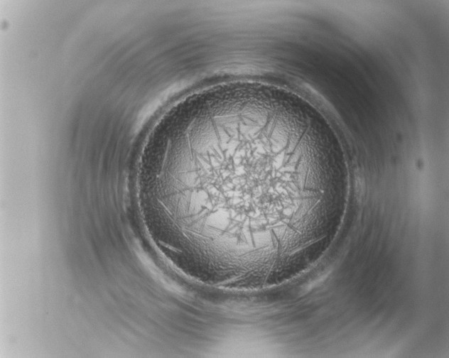 X0000055520725200508262205