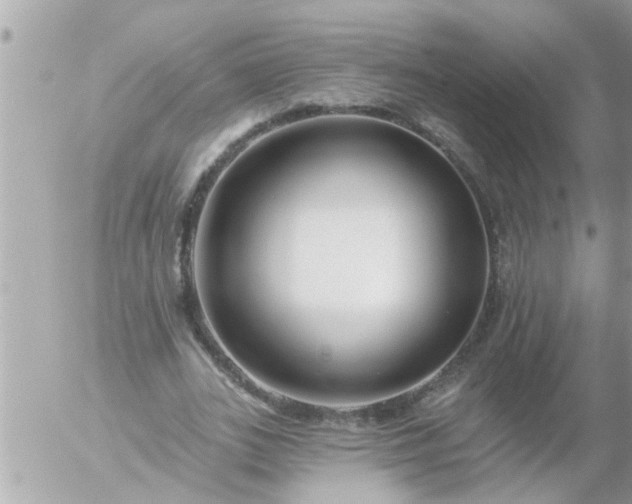 X0000055520727200508262205