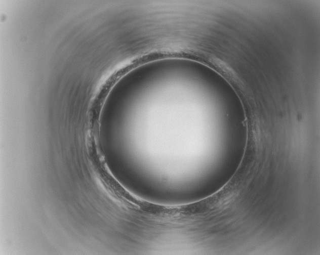 X0000055520728200508262205