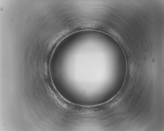 X0000055520729200508262205