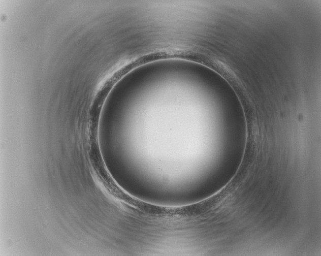 X0000055520730200508262205