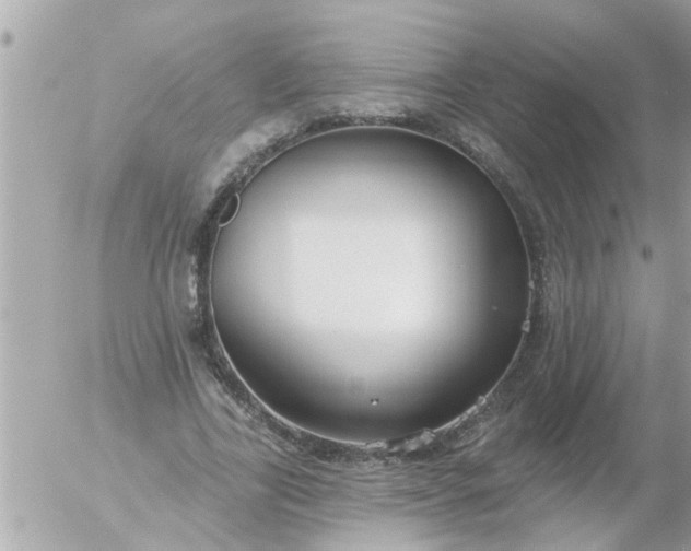 X0000055520731200508262205