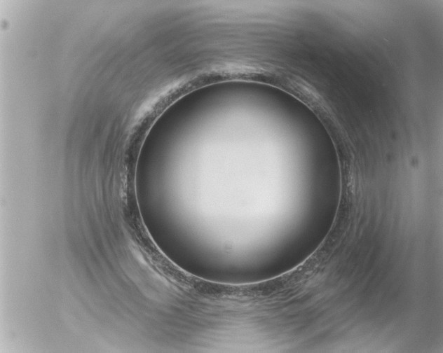 X0000055520732200508262205