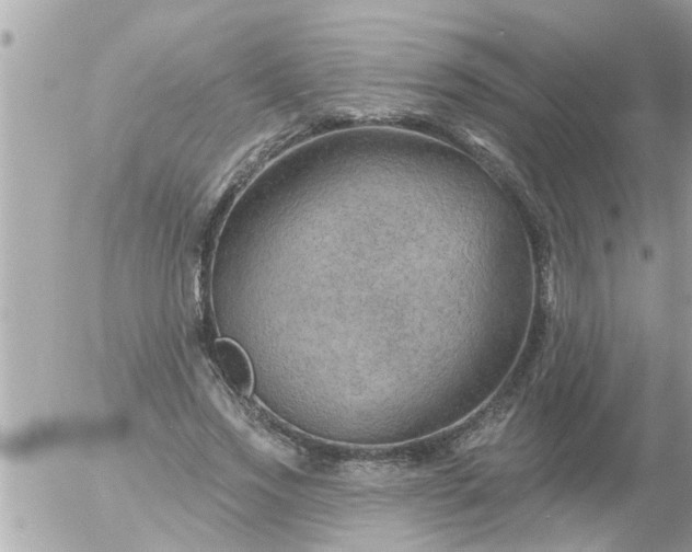 X0000055520733200508262205