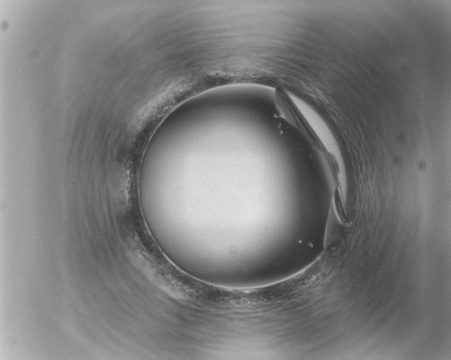 X0000055520735200508262205