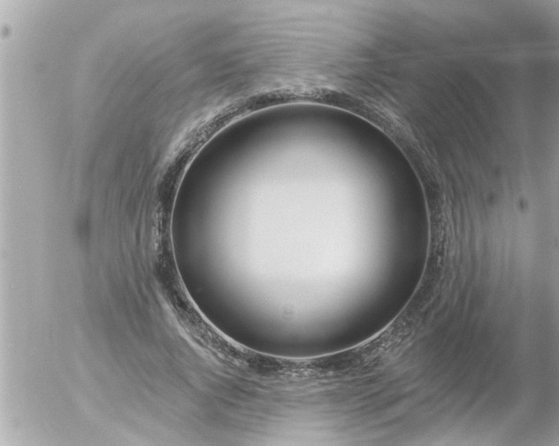 X0000055520736200508262205