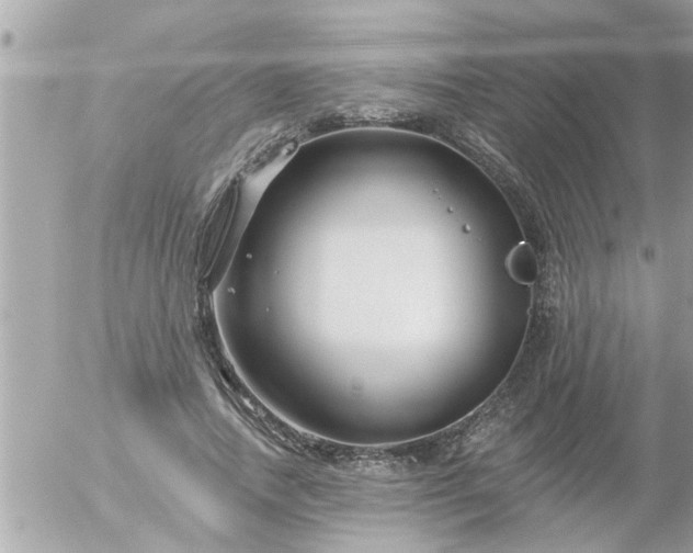 X0000055520738200508262205