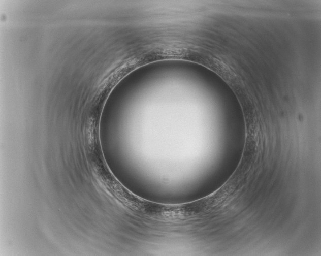 X0000055520744200508262205