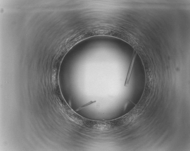 X0000055520745200508262205