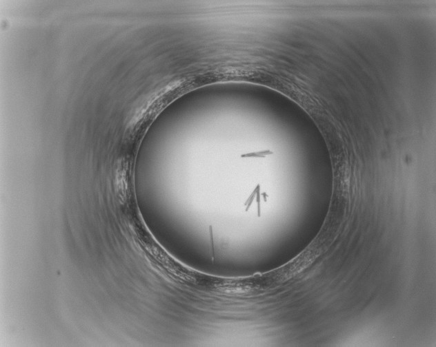 X0000055520746200508262205