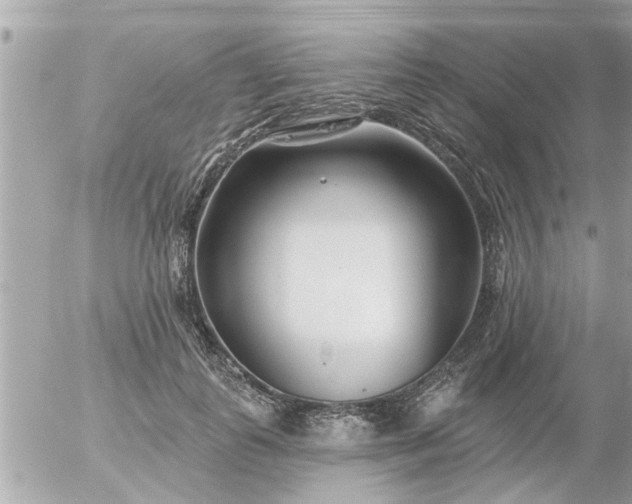 X0000055520747200508262205