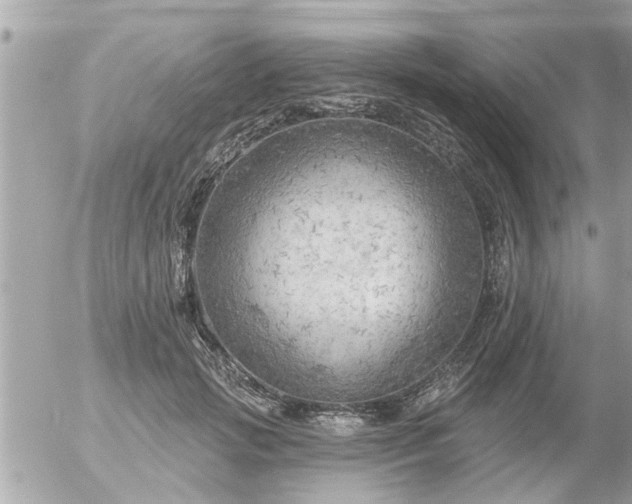 X0000055520749200508262205