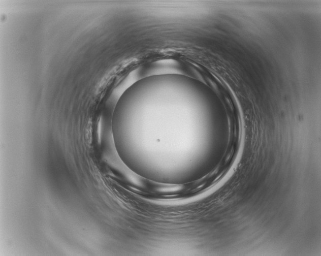 X0000055520750200508262205