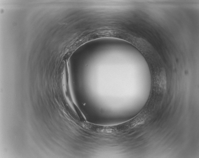 X0000055520751200508262205