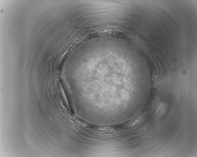 X0000055520753200508262205