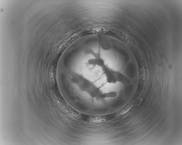 X0000055520754200508262205