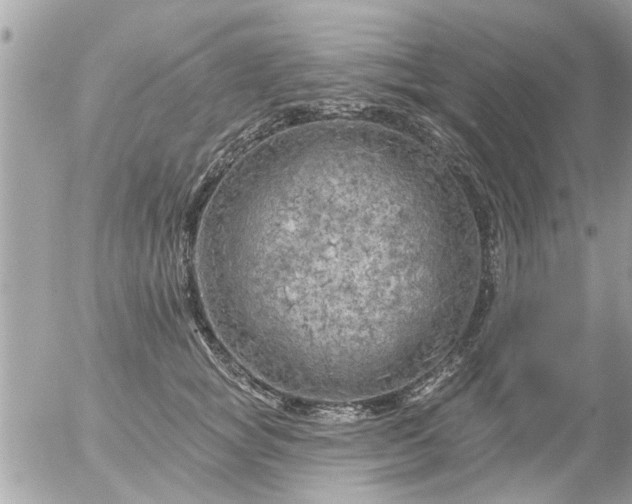 X0000055520757200508262205