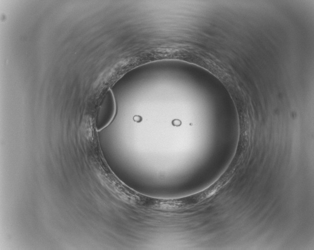 X0000055520758200508262205