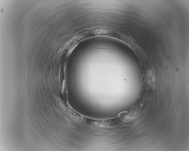 X0000055520763200508262205